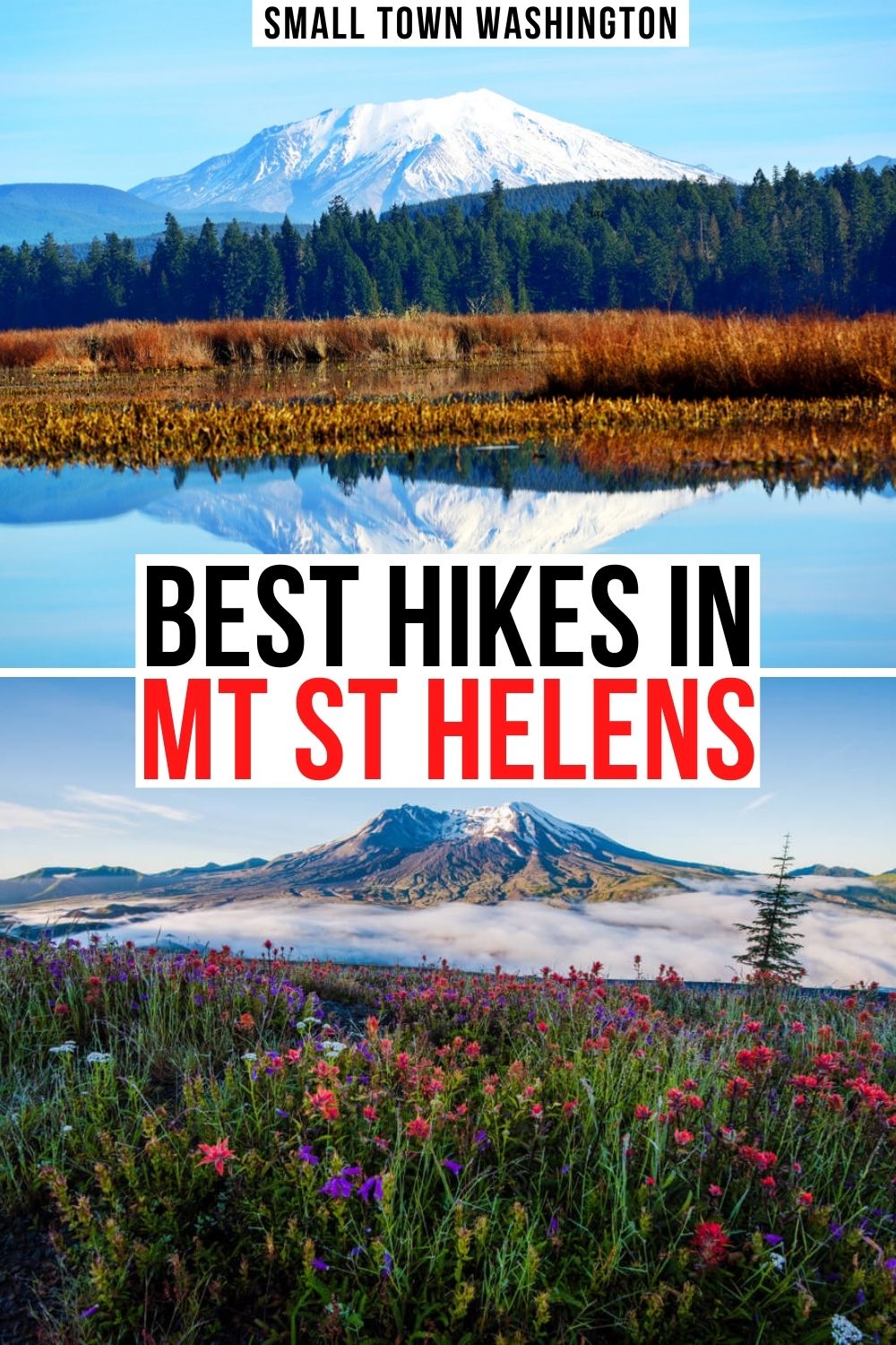 7 Best Mt St Helens Hikes for All Levels • Small Town Washington