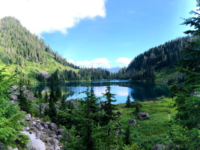 Greenery of trees and grass surrounding a still, glassy turquoise blue lake on a sunny day hiking near the Mountain Loop Highway in Washington State