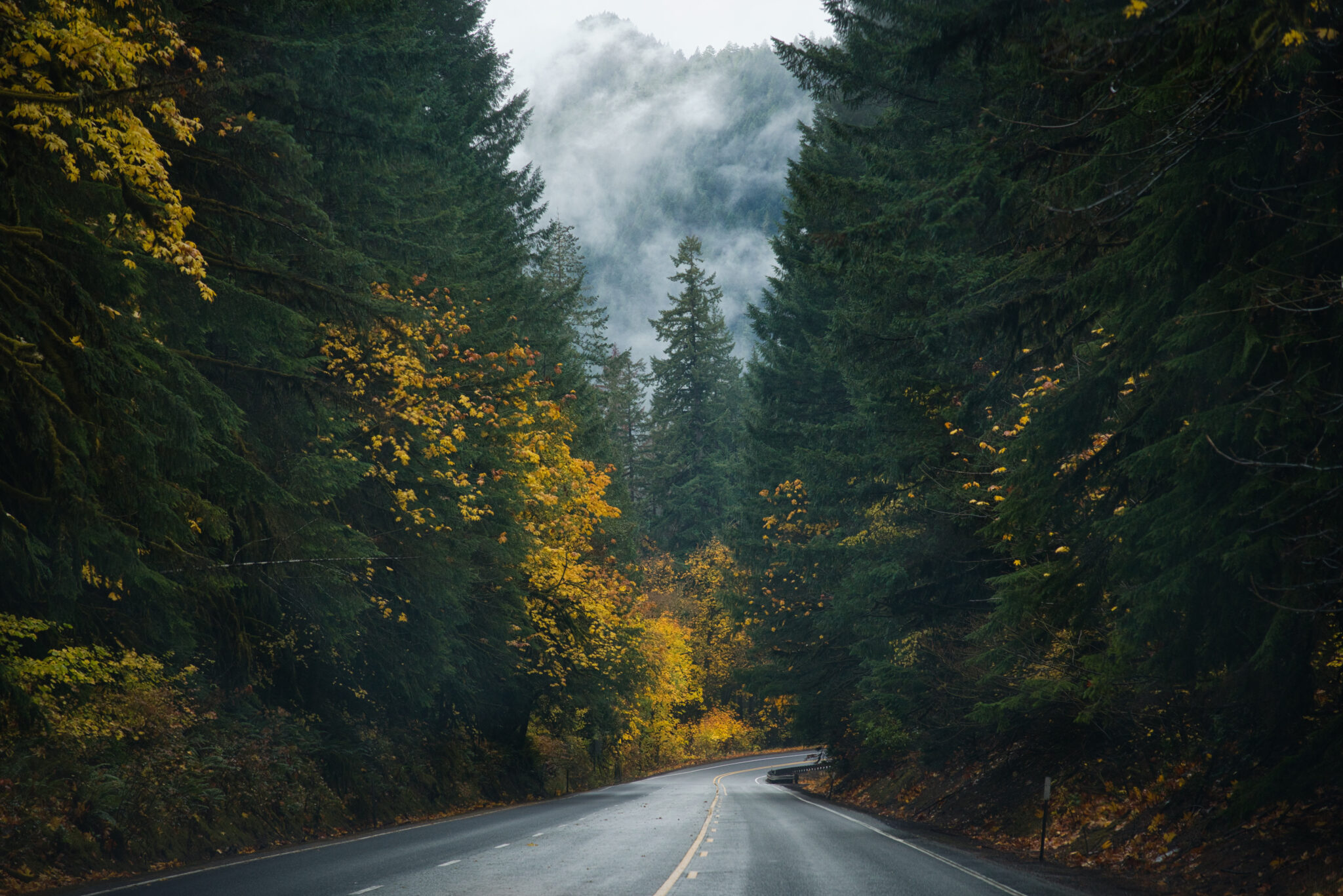 5 Scenic Road Trips in Oregon (Itinerary Ideas + Tips!)