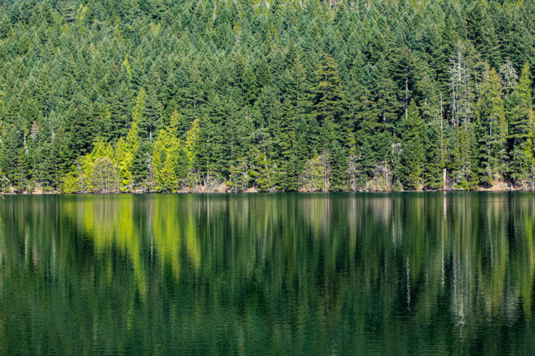 Blueish green water of the lake reflecting the green trees on the edge of the lake with a ripple effect