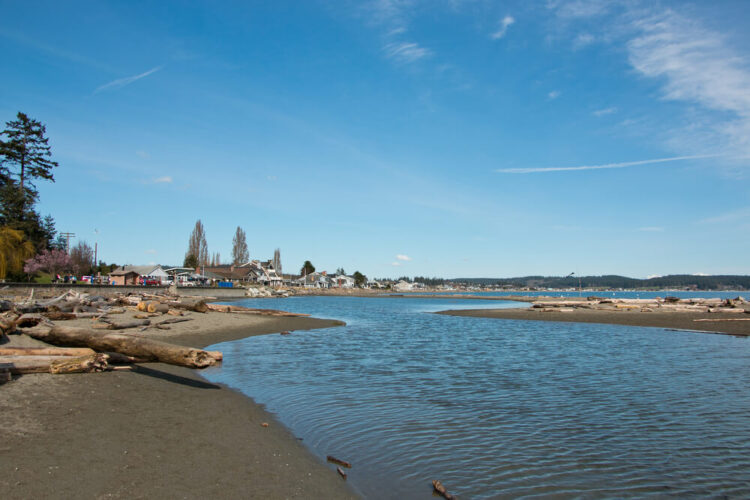 8-reasons-to-visit-double-bluff-beach-on-whidbey-island-wa