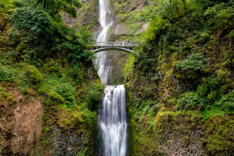 multnomah falls near portland oregon