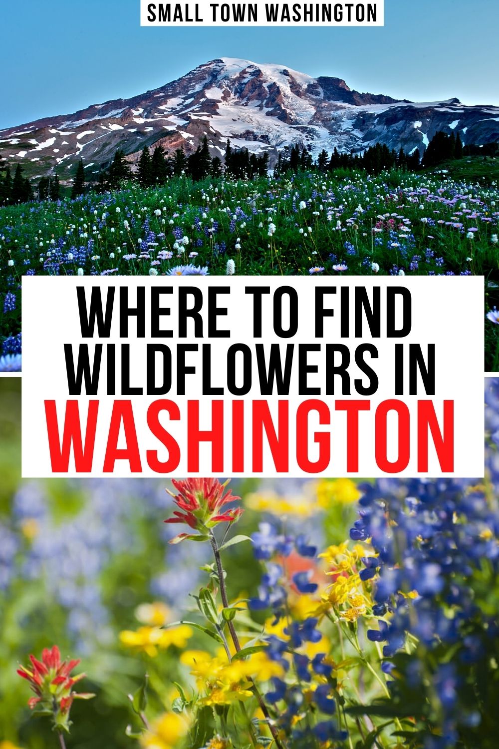 15 Best Wildflower Hikes in Washington State • Small Town Washington