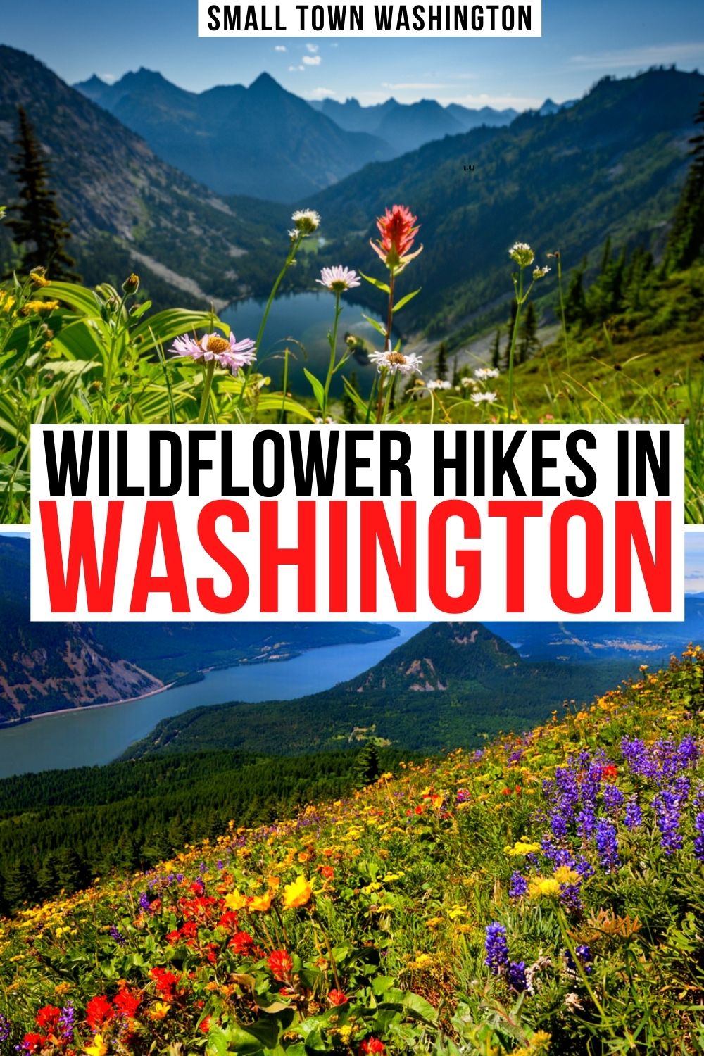 15 Best Wildflower Hikes in Washington State • Small Town Washington