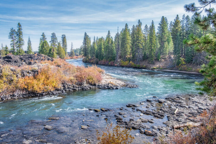 Bend in a turquoise blue river, surrounded by evergreen trees and some orange shrubbery, near a hiking trail near Bend