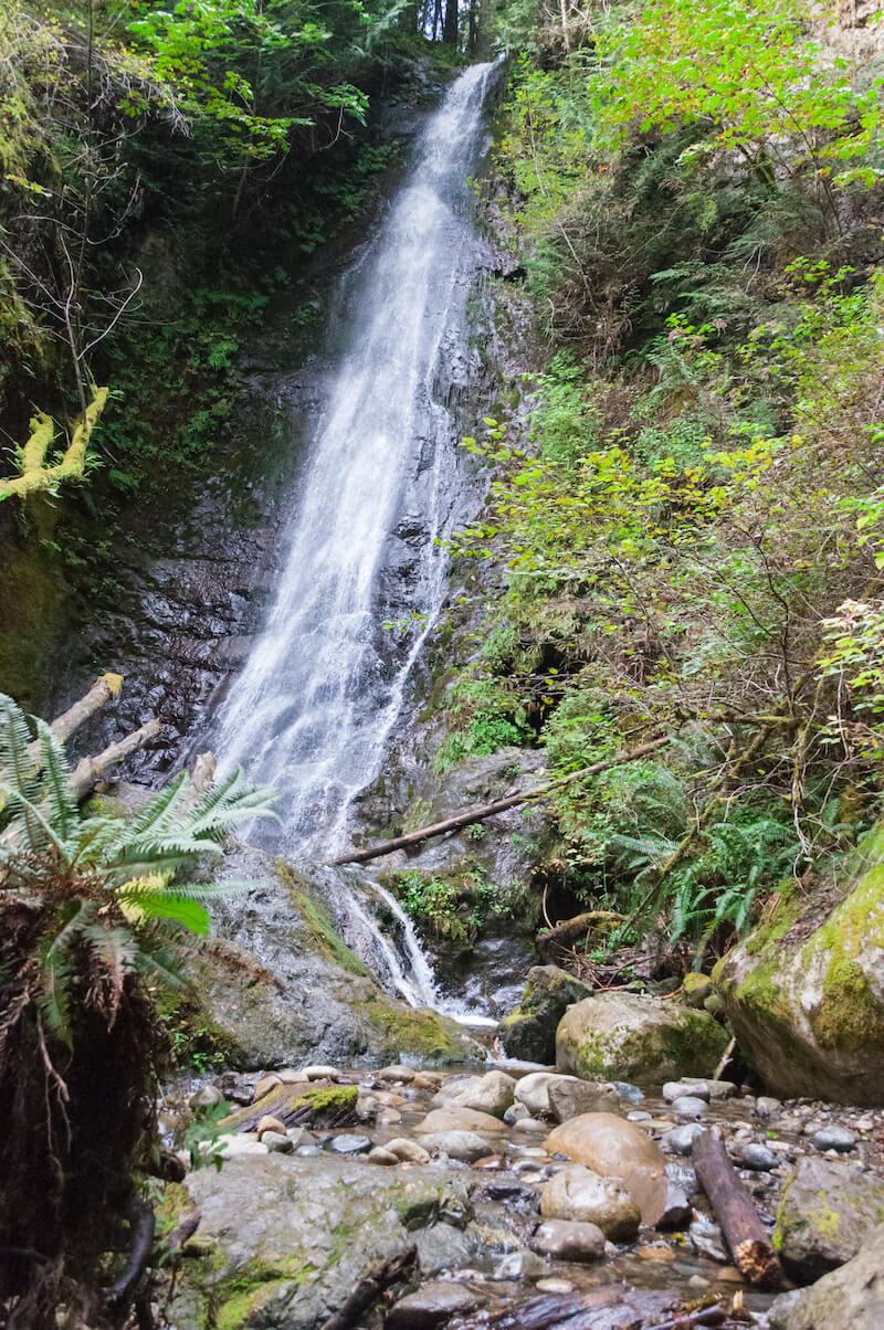 A waterfall cascading down a cliff into a creek below, surrounded by green leaves