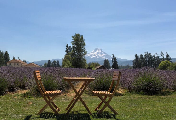 Lavender fields in Hood River with two chairs and a small table in front of the lavender fields with amountain in the distance.