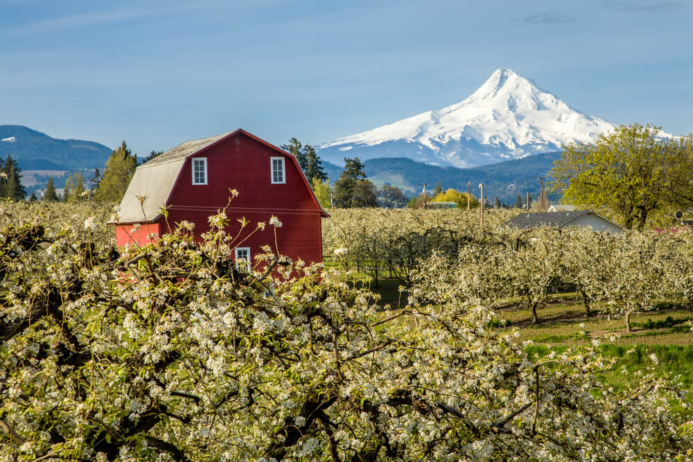 15 Fun Things To Do In Hood River OR Small Town Washington