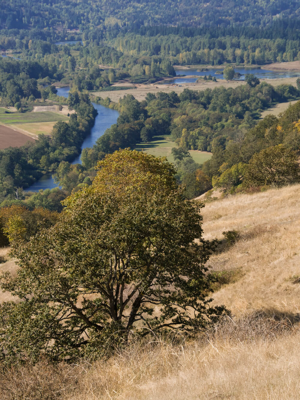 Dry grasslands overlooking a river with lots of green trees in Mt Pisgah