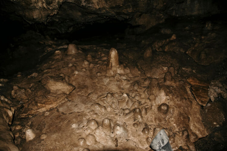 Inside the cave at the Oregon Cave National Monument
