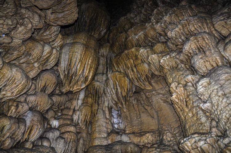 Formations on a cave walls at the Oregon National Caves Monumant
