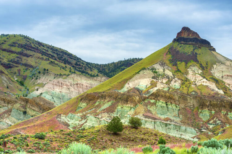 Greenish and red desert landscape at Sheep Rock in the John Day Fossil Bed National Monument on an overcast day.