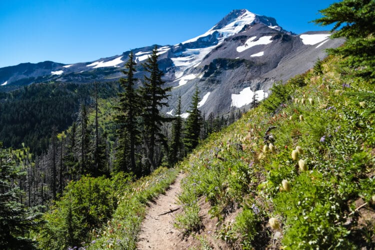 hiking along timberline trail mount hood oregon