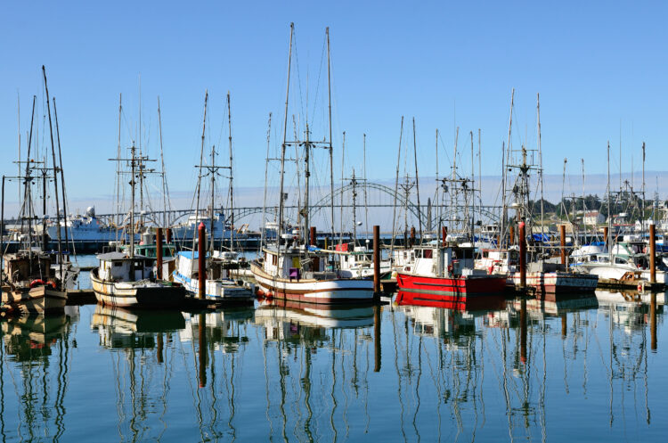 sailboats in newport harbor, one of the prettiest coastal towns in oregon