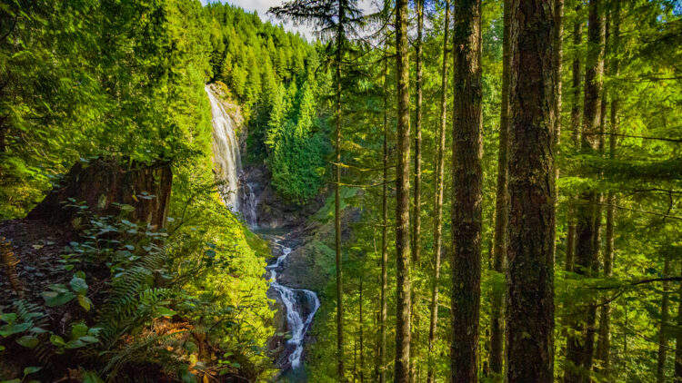 A multi-tiered waterfall in a forest near Seattle, surrounded by evergreen trees on a sunny day in the Pacific Northwest.