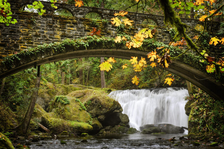 A small but wide waterfall churning over some rocks, with a foliage-covered stone bridge in front of the waterfall framing it beautifully, and some yellow fall leaves in front of the bridge.