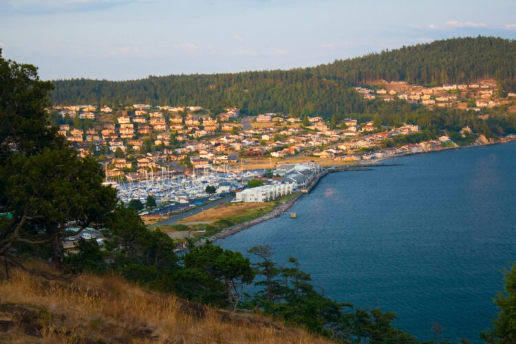 View from a hilltop of the coastal city of Anacortes Washington on Fidalgo Island with marina, houses, and trees.