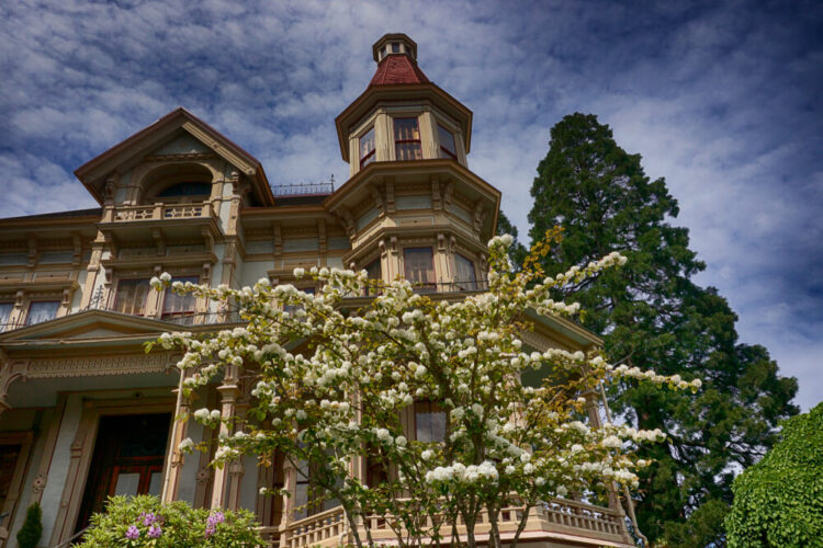 the victorian houses of astoria oregon with blooming trees in front of the house