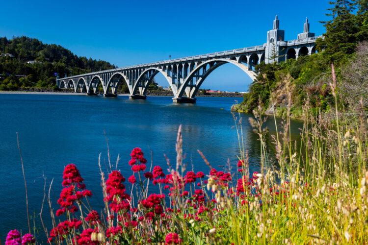 Isaac Lee Patterson Bridge, also known as the Rogue River Bridge Gold Beach, Oregon with red wildflowers in the bottom of the frame and blue water underneath the bridge