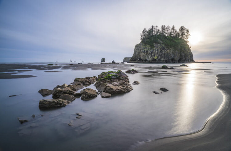 the coastline at la push with a rock islet topped with trees and rocks in the water