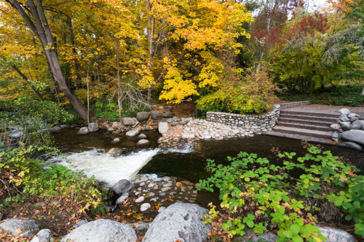 lithia park with a stream, stairs, and yellow and green trees