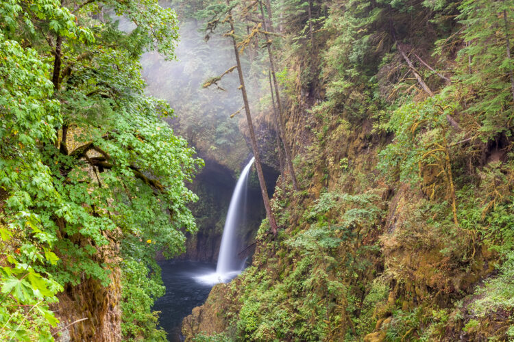 metlako falls, one of the best waterfalls in oregon, as seen through the trees