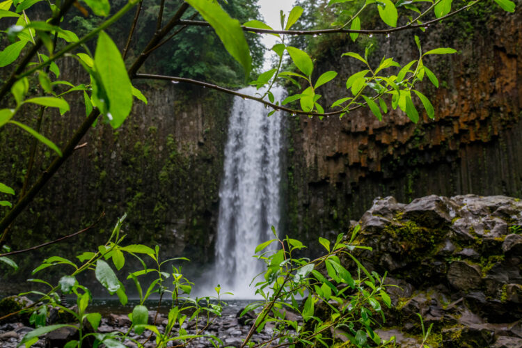 abiqua falls oregon as seen through green leaves