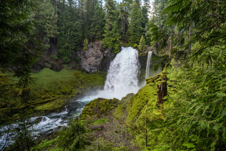 sahalie falls surrounded by thick greenery, one of the best waterfalls in oregon state