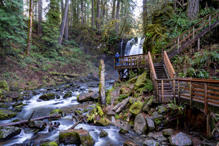 view of a wooden boardwalk trail built along a creek, leading to one of the best waterfalls in oregon