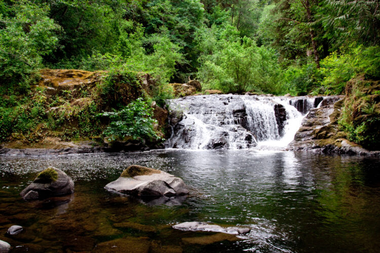 short but beautiful section of sweet creek falls oregon