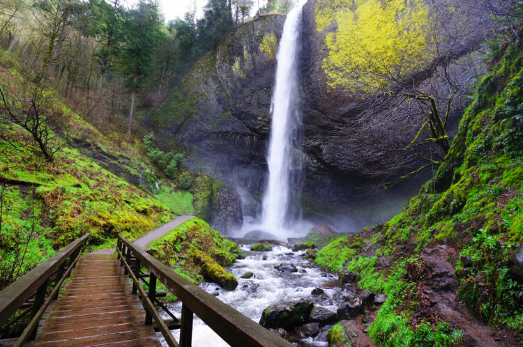 latourell falls, one of the best waterfalls in oregon, as seen from wooden bridge