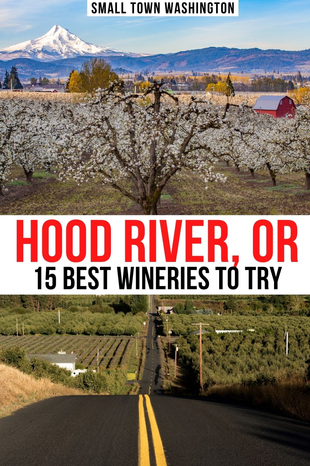 15 Delicious Hood River Wineries to Visit ASAP • Small Town Washington