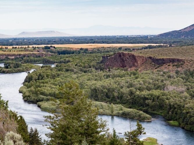 river on the border of idaho and oregon with trees and vineyards in the distance