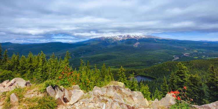 view from the summit of a hike near portland with flowers and lakes