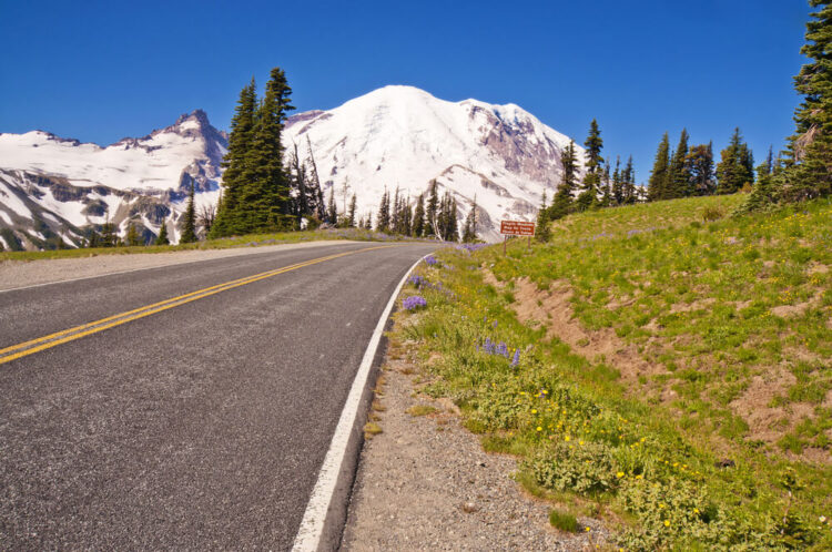 The road leading to Mt Rainier a scenic mountain glacier while Washington road tripping