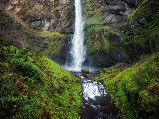 mossy waterfall near portland oregon