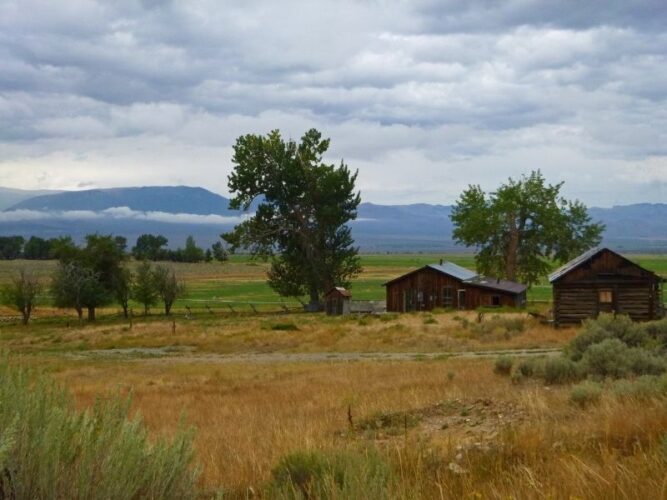 barns in the charming and rustic small town of salmon idaho with fields and mountains behind the barns