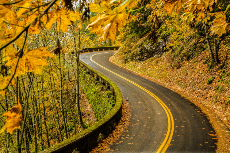 winding road through foliage on old columbia river highway
